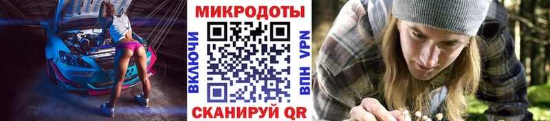 где можно купить   Тихорецк  МЕГА ссылка  Псилоцибиновые грибы Cubensis 