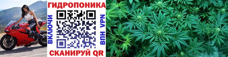 Каннабис VHQ  цены   Тихорецк 